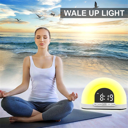 DreamTech Sunrise Alarm Clock